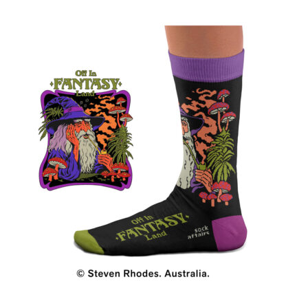 Steven Rhodes Fantasy Socks - Image 2